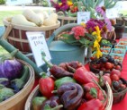 UT Farmers Market<br>May 22<br>Knoxville, TN