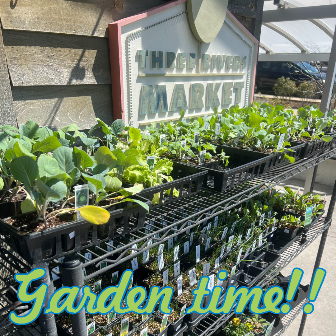 Spring is here!