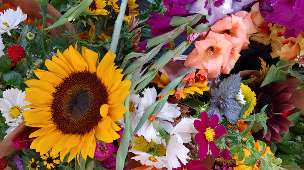 Local Flowers