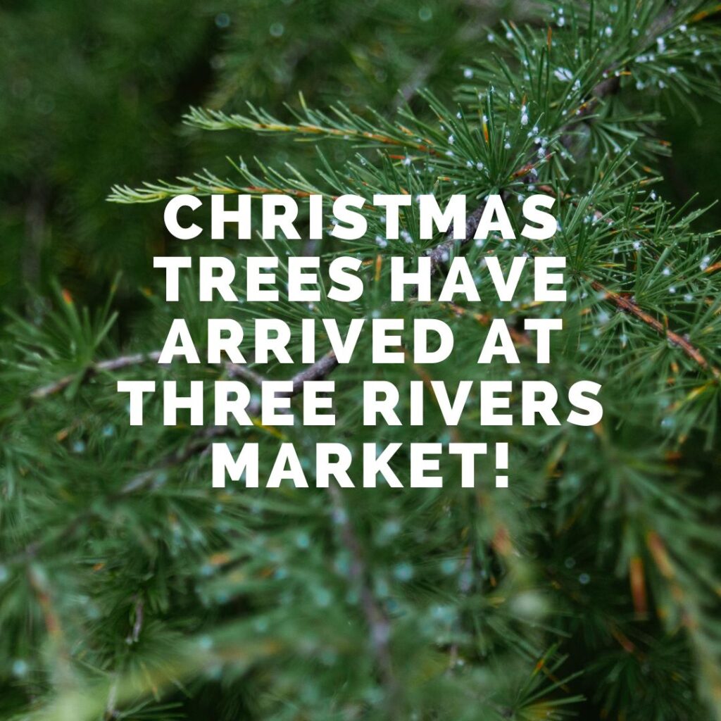 Fraser Fir Christmas Trees have arrived, ranging from 4’ to 10’ tall, sustainably grown by the Jones Family in North Carolina. These iconic trees, native to the Southern Appalachians, are known for their soft needles, fresh pine scent, and long-lasting beauty.