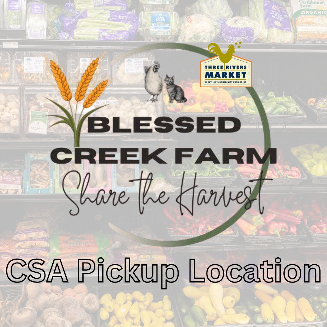What is a CSA