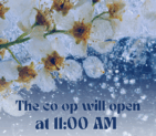 The co-op will open at 11 AM on Monday, January 26